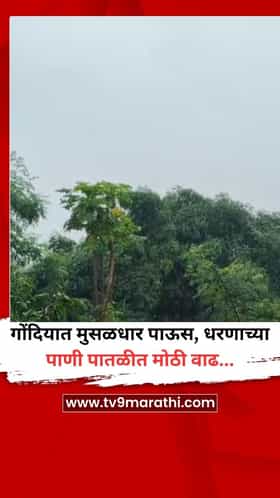 गोंदियात मुसळधार पाऊस, धरणाच्या पाणी पातळीत मोठी वाढ...