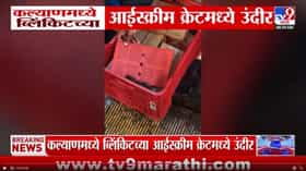 ब्लिंकिटच्या आईस्क्रीम क्रेटमध्ये उंदीर आढळल्याने अन्नसुरक्षेचा प्रश्न.