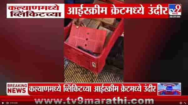 कल्याणमध्ये ब्लिंकिटच्या आईस्क्रीम क्रेटमध्ये उंदीर आढळल्याने अन्नसुरक्षेचा प्रश्न