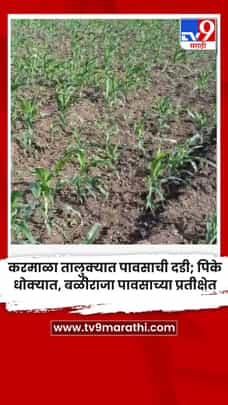 करमाळा तालुक्यात पावसाची दडी; पिके धोक्यात, बळीराजा पावसाच्या प्रतीक्षेत-1730837