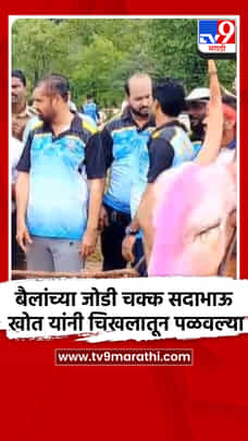 बैलांच्या खिल्लारी जोडी चक्क सदाभाऊ खोत यांनी चिखलातून पळवल्या-1725102