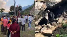 मनालीमध्ये रहस्यमय बकरी पाहण्यासाठी प्रचंड गर्दी, बकरीचं रहस्य काय?