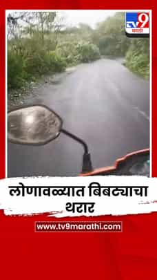 लोणावळ्यात बिबट्याचा थरार; पर्यटकांच्या कॅमेऱ्यात बिबट्या कैद-1730096