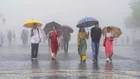 IMD Rain Update : पाऊस आला रे... या 6 जिल्ह्यांना खुशखबर, वाचा हवामानाचा ताजा अंदाज!