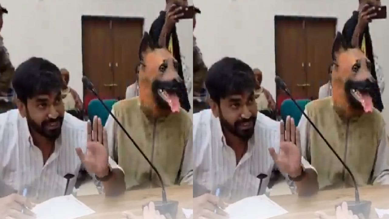 राठोड यांचा आरोप आहे की, गेल्या चार वर्षांत खंडवामध्ये महापालिकेने कुत्र्यांच्या नसबंदीवर सुमारे 40 लाख रुपये खर्च केले; तरीही, भटक्या कुत्र्यांची संख्या कमी होण्याऐवजी वाढतंच चालली आहे. या काळात शहरात कुत्र्यांनी चावल्याच्या 13 हजार 225 घटनांची नोदं झाल्याचा दावा देखील त्यांनी केला.