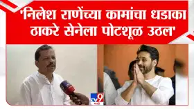 शिंदे सेना-भाजप संघर्ष आणि निलेश राणे यांच्या कामांवरून वैभव नाईकांना प्रत्युत्तर
