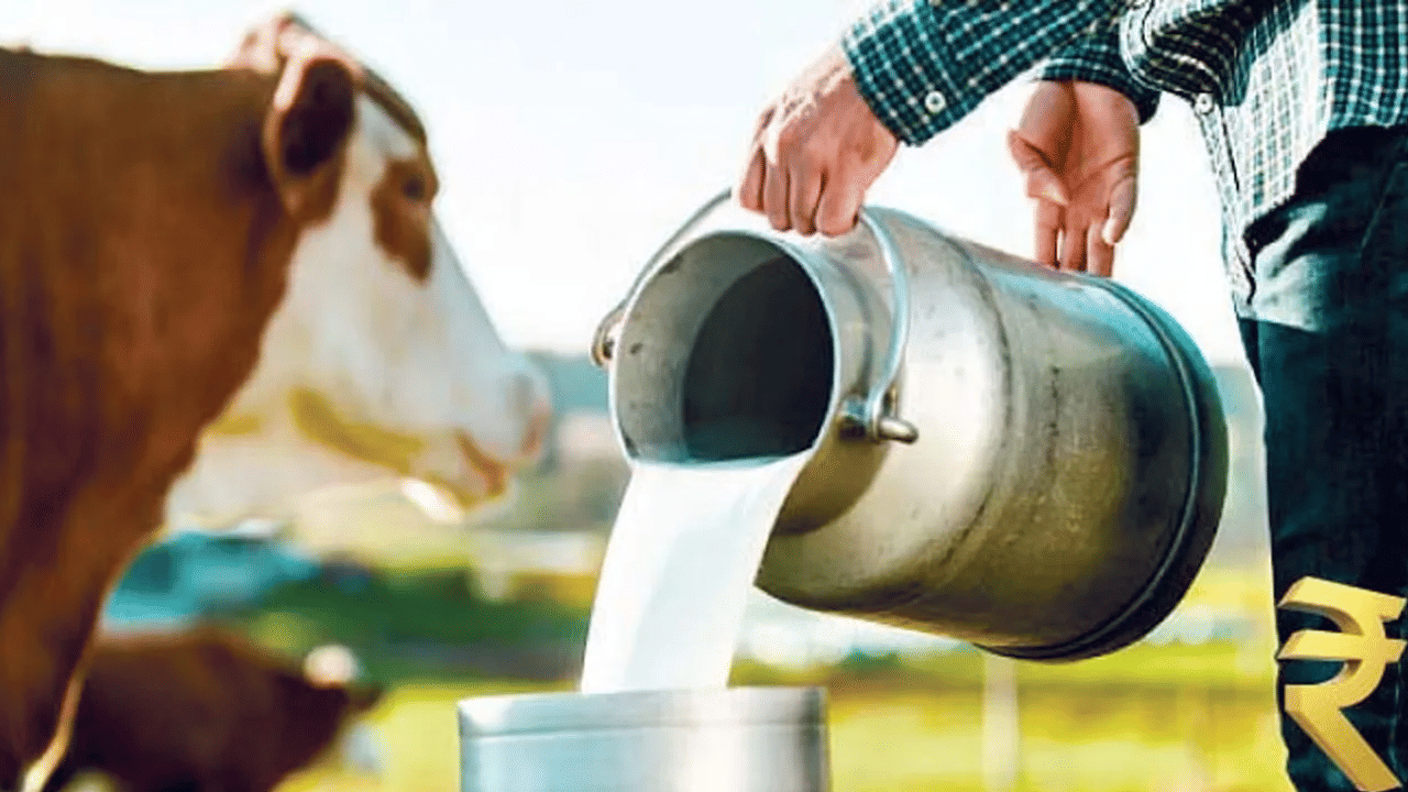Milk Price Hike: फक्त महाराष्ट्रातच का दूधाच्या किमतीत वाढ, मोठं कारणही समोर, कधीपासून होणार दरवाढ? Milk Price Hike: फक्त महाराष्ट्रातच का दूधाच्या किमतीत वाढ, मोठं कारणही समोर, कधीपासून होणार दरवाढ?