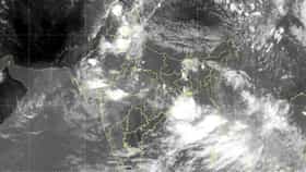 चीनचे डॉल्फीन संकट भारतावर धडकले, मान्सूनवर गंभीर परीणाम, ३ लाख लोक....