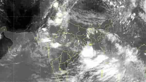 चीनचे डॉल्फीन संकट भारतावर धडकले, मान्सूनवर गंभीर परीणाम, ३ लाख लोक...