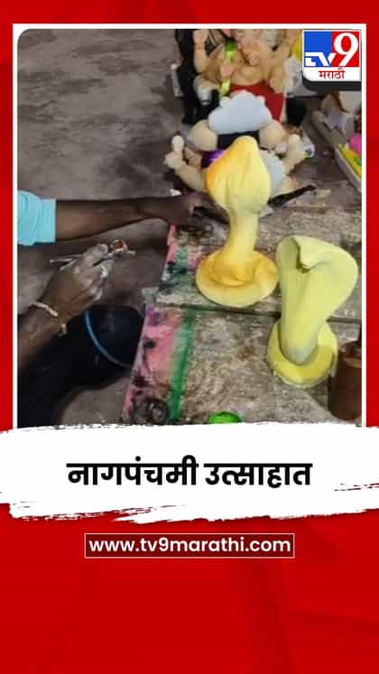 तळकोकणात नागपंचमीचा उत्साह; शाडूमातीपासून बनवलेल्या नागमूर्तीची प्रतिष्ठापना-1735945