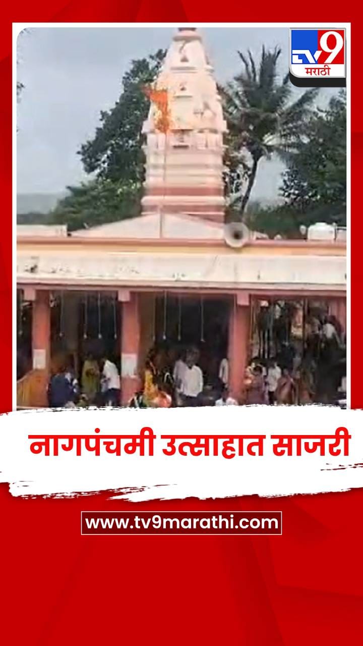 सांगली जिल्ह्यातील 32 शिराळ्यात नागपंचमी उत्साहात साजरी-1736225