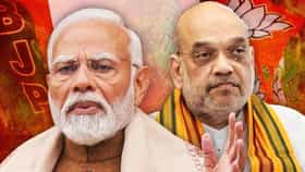 भाजपात मोठा फेरबदल, नव्या कार्यकारिणीची घोषण, महाराष्ट्रातील 4 नेते....