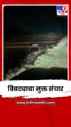 निफाडमध्ये बिबट्याचा मुक्त संचार; ग्रामस्थांमध्ये भीतीचं वातावरण