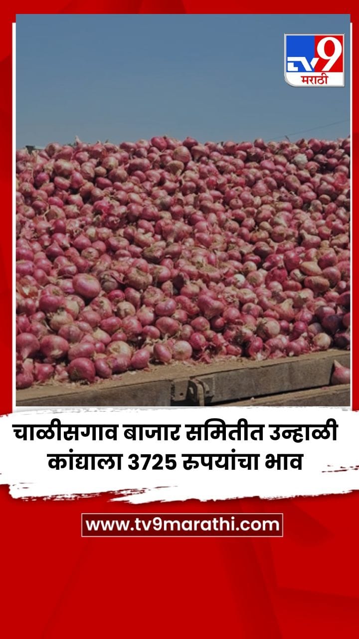 चाळीसगाव बाजार समितीत उन्हाळी कांद्याला 3725 रुपयांचा भाव-1737561