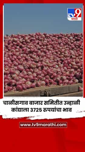 चाळीसगाव बाजार समितीत उन्हाळी कांद्याला 3725 रुपयांचा भाव