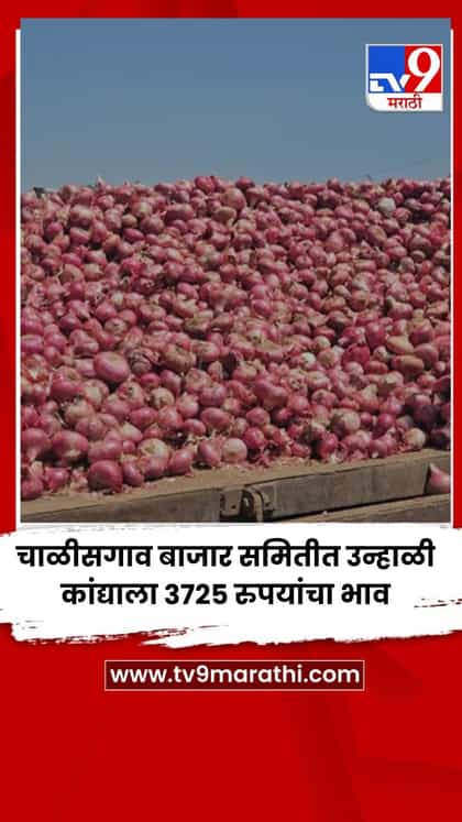 चाळीसगाव बाजार समितीत उन्हाळी कांद्याला 3725 रुपयांचा भाव-1737561