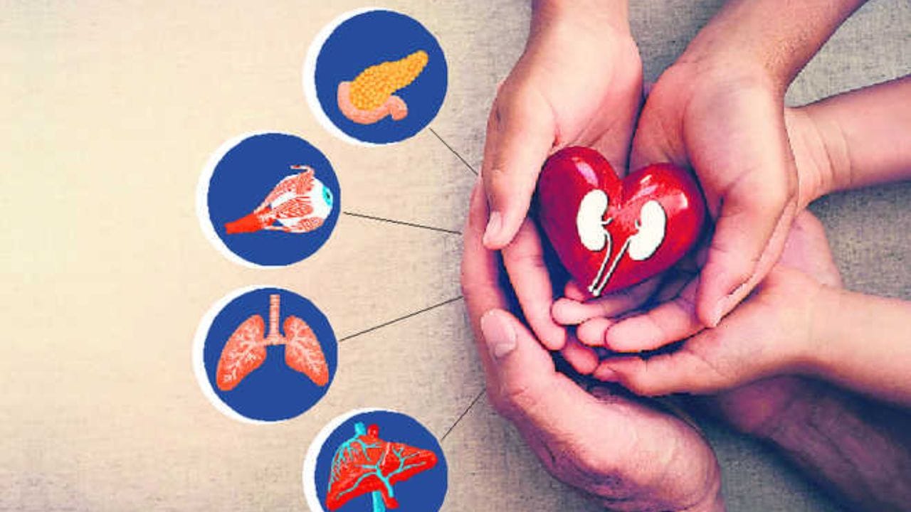 घरी मृत्यू झाल्यानंतर कोणते अवयव दान होऊ शकतात आणि कोणते नाही? जाणून घ्या घरी मृत्यू झाल्यानंतर कोणते अवयव दान होऊ शकतात आणि कोणते नाही? जाणून घ्या