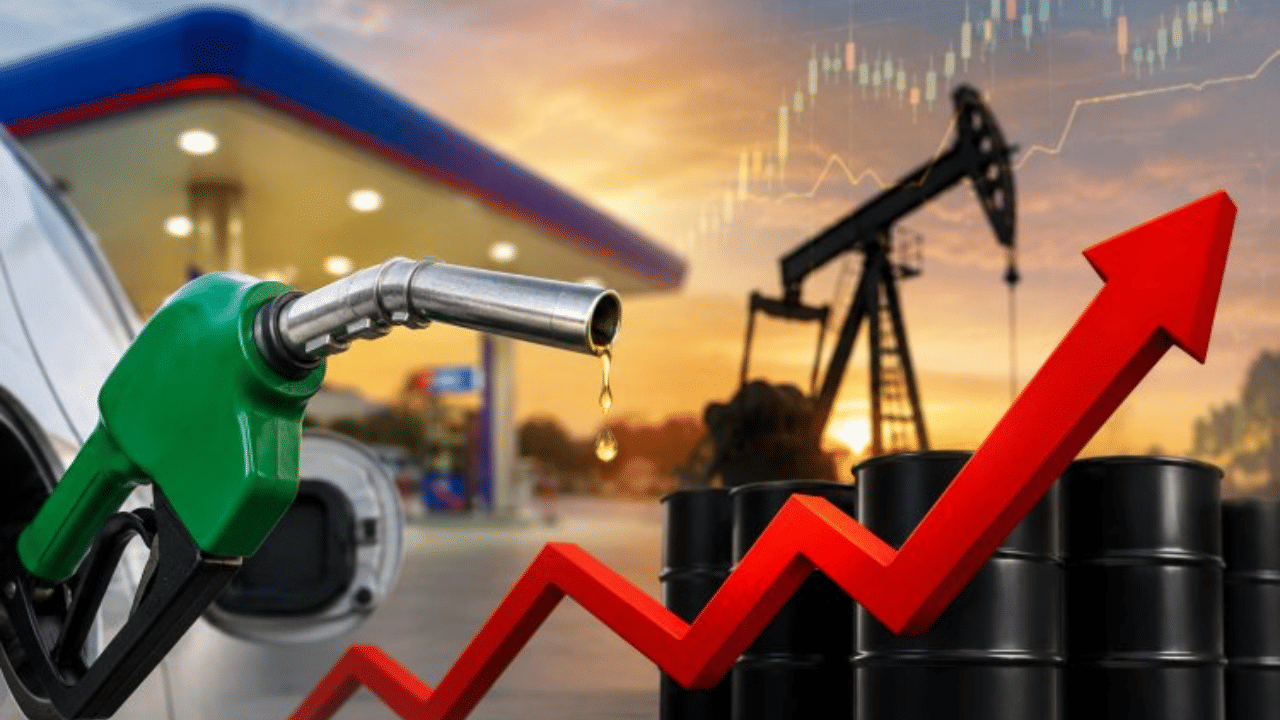 Petrol Diesel Price: पुढील काही दिवसांत जगात खळबळ उडणार, भारतात दिसणार परिणाम, थेट पेट्रोल-डिझेलच्या दरात...तज्ञांची वॉर्निंग Petrol Diesel Price: पुढील काही दिवसांत जगात खळबळ उडणार, भारतात दिसणार परिणाम, थेट पेट्रोल-डिझेलच्या दरात...तज्ञांची वॉर्निंग