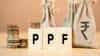PPF मध्ये गुंतवणूक करताय? सावधान! 'या' 6 चुका केल्यास बुडेल तुमचे हक्काचे व्याज