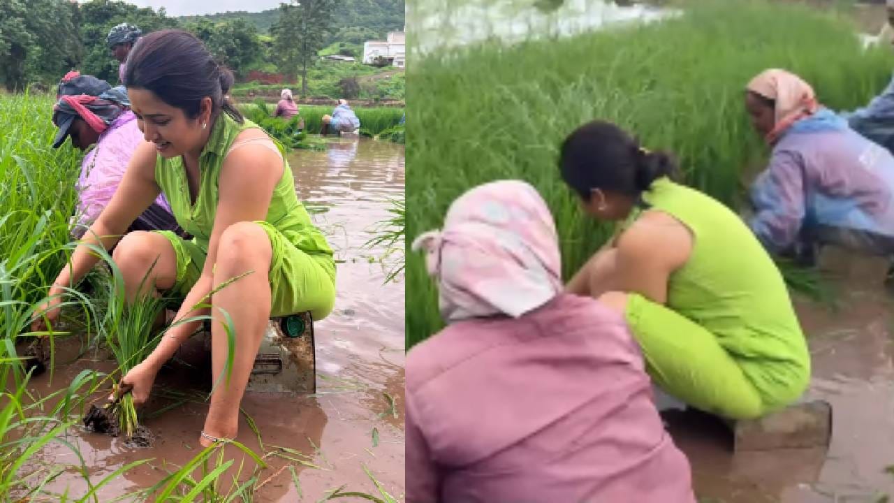वाढदिवसानंतर प्राजक्ता माळी थेट शेतात, मातीत उतरून केली भाताची लागवण, Video व्हायरल वाढदिवसानंतर प्राजक्ता माळी थेट शेतात, मातीत उतरून केली भाताची लागवण, Video व्हायरल