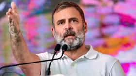 Gen Z ने राहुल गांधींना विचारलं तुम्ही लग्न कधी करणार? उत्तर काय आलं?.