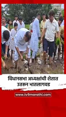 विधानसभा अध्यक्षांची शेतात उतरून भातलागवड-1728153