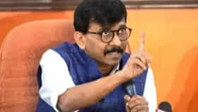 2029 पूर्वीच पंतप्रधान मोदी आणि शाह..., राऊतांच्या भाकीतानं मोठी खळबळ.