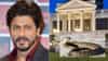Shah Rukh Khan: शाहरुख खानच्या 'मन्नत' बंगल्यात 2 साप शिरल्याने खळबळ; 8 फुटांचा धामण सुरक्षित रेस्क्यू, दुसरा पसार