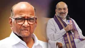 राज्याच्या राजकारणात खळबळ, पवार गटातील नेता अमित शाहांच्या भेटीला.