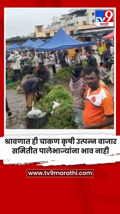 श्रावणात ही चाकण कृषी उत्पन्न बाजार समितीत पालेभाज्यांना भाव नाही-1740284