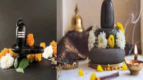 Vastu Shastra : श्रावण महिन्यात या वस्तू आवश्य घरी आणा.