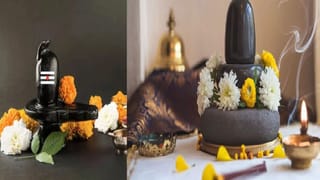 Vastu Shastra : श्रावण महिन्यात या वस्तू आवश्य घरी आणा, महादेवाच्या आशीर्वादाने आयुष्यात कधी पैशांची कमी पडणार नाही