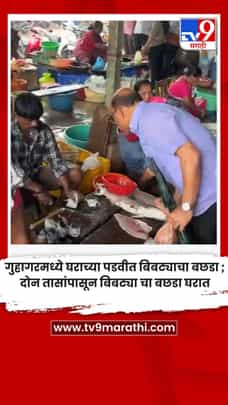 सिंधुदुर्ग जिल्ह्यात गटारी अमावस्या मोठ्या उत्साहात साजरी-1732526