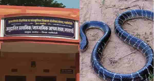 मण्यार जातीचा साप, खिडकीतून खोलीत एन्ट्री, मुलींच्या पायाला...; राज्यमंत्र्यांनी सांगितला आश्रमातील थरारक प्रसंग