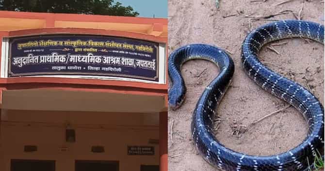 मण्यार जातीचा साप, खिडकीतून खोलीत एन्ट्री, मुलींच्या पायाला...; राज्यमंत्र्यांनी सांगितला आश्रमातील थरारक प्रसंग