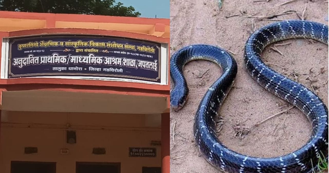 मण्यार जातीचा साप, खिडकीतून खोलीत एन्ट्री, मुलींच्या पायाला...; राज्यमंत्र्यांनी सांगितला आश्रमातील थरारक प्रसंग मण्यार जातीचा साप, खिडकीतून खोलीत एन्ट्री, मुलींच्या पायाला...; राज्यमंत्र्यांनी सांगितला आश्रमातील थरारक प्रसंग