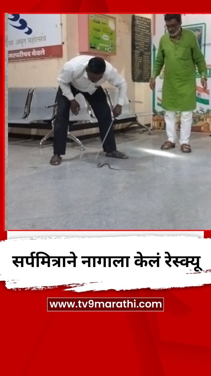 येवला नगर परिषद परिसरात सर्पमित्राने नागाला केलं रेस्क्यू-1738141