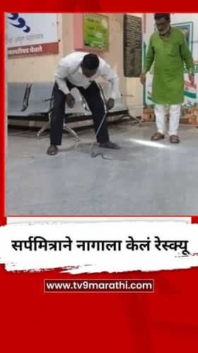 येवला नगर परिषद परिसरात सर्पमित्राने नागाला केलं रेस्क्यू
