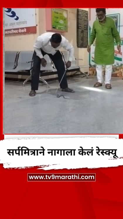 येवला नगर परिषद परिसरात सर्पमित्राने नागाला केलं रेस्क्यू-1738141