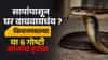 Snakes In Home : साप अचानक घरात येत नाहीत ! किचनमधील या 6 चुका ठरू शकतात धोकादायक