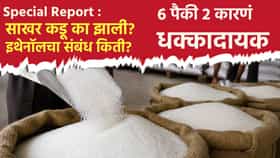 Special Report : साखर कडू का झाली? इथेनॉलचा संबंध किती? सहा कारणांपैकी दोन कारणं धक्कादायक