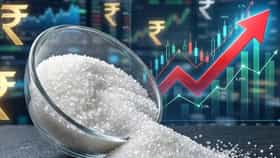 Sugar Price: यंदा दिवाळीचा फराळ महागणार, साखरेचे दर शंभरी पार जाणार?; केंद्राचे कडक नियम