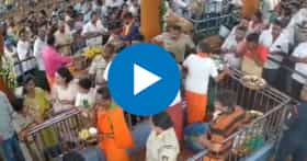 मंदिरात राडा! भाजप आमदाराच्या मुलीने पोलिसालाच कानफटवलं, CCTV व्हिडिओ आला समोर
