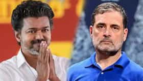 Thalapathy Vijay : थलापती विजय यांचं सरकार ऐनवेळी संकटात सापडणार, काँग्रेसच्या 2 मंत्र्यांकडून थेट इशारा; काय घडतंय?