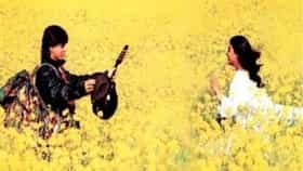 शाहरुख-काजोलच्या प्रेमकथेतील ते प्रसिद्ध मोहरीचं शेत कुठलं ? भल्याभल्याचं चुकतं उत्तर.. जाणून घ्या खास किस्सा
