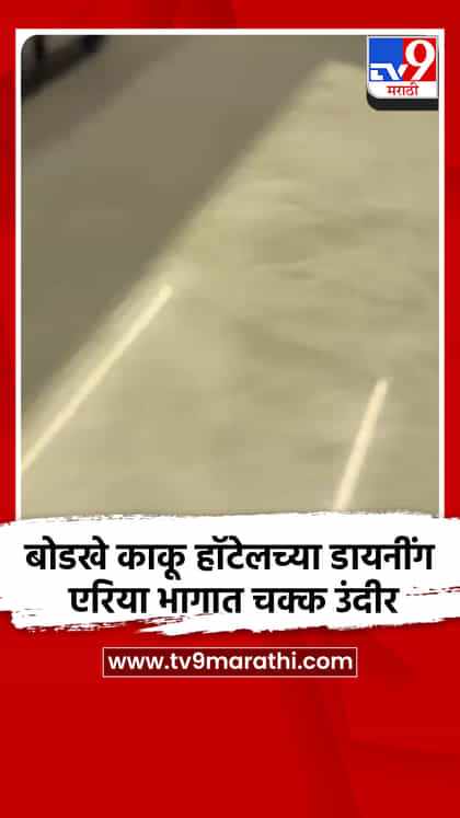 बोडखे काकू हॉटेलच्या डायनींग एरिया भागात चक्क उंदीर-1740970