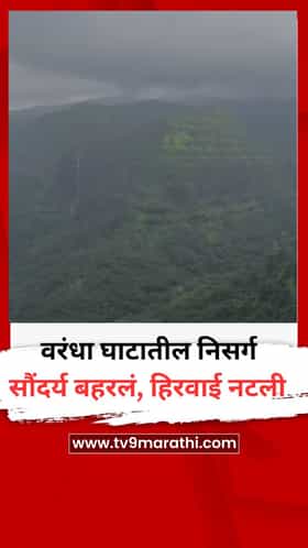 वरंधा घाटातील निसर्ग सौंदर्य बहरलं, हिरवाई नटली