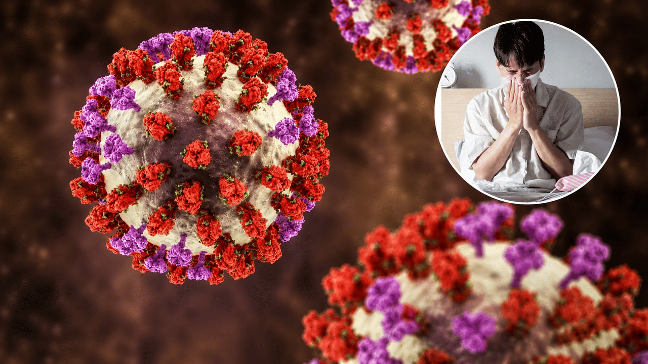 देशावर नवे संकट! थेट मंत्री आयसीयूमध्ये, H1N1 फ्लूची नेमकी लक्षणे काय? देशावर नवे संकट! थेट मंत्री आयसीयूमध्ये, H1N1 फ्लूची नेमकी लक्षणे काय?