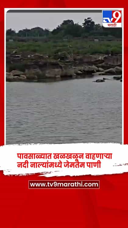 वर्ध्यात पाणीटंचाईचा धोका: अपुऱ्या पावसामुळे नद्या-नाले कोरडे-1737770