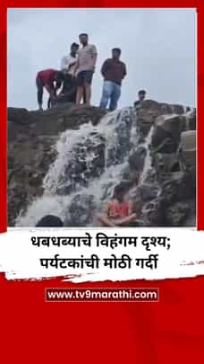 डोळ्यांचं पारणं फेडणारं धबधब्याचे विहंगम दृश्य-1730774